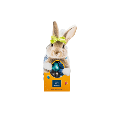 Import placeholder for 6219