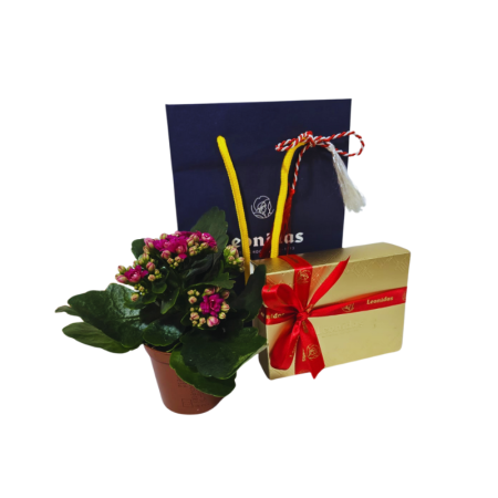 Import placeholder for 1237789