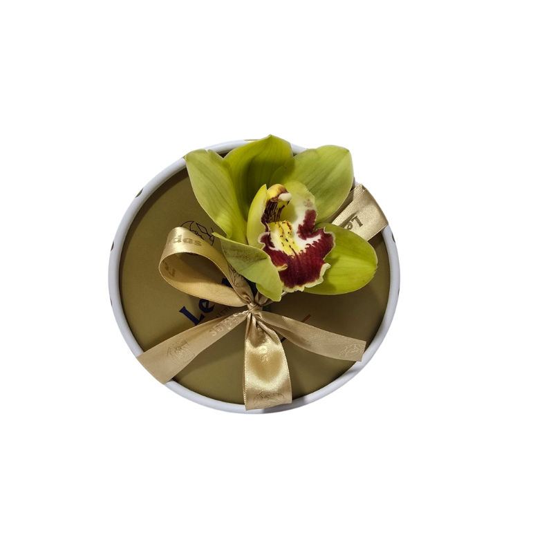 Import placeholder for 1237928