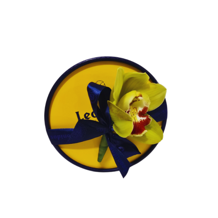 Import placeholder for 1237933