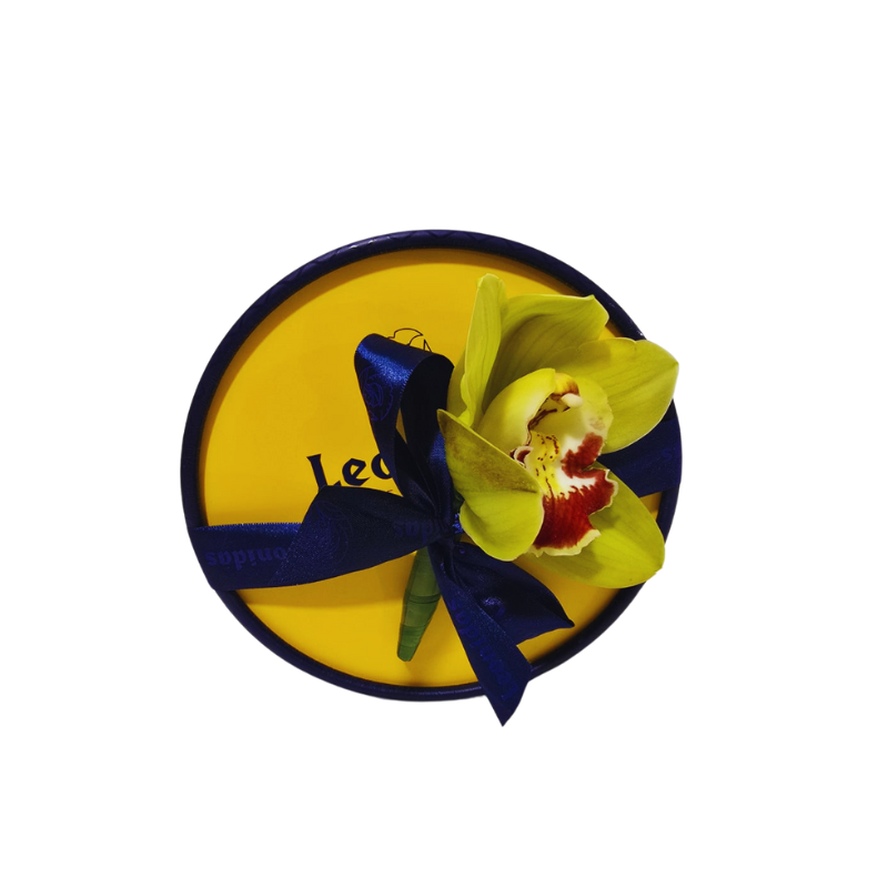 Import placeholder for 1237933