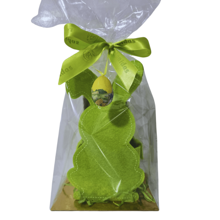 Import placeholder for 1010243